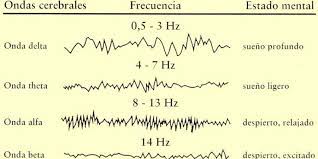 Ondas cerebrales 2